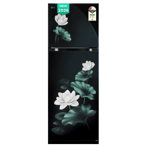 LG 251 Litres 2 Star Frost Free Double Door Refrigerator with Inverter Compressor (GLT2526XWOB)