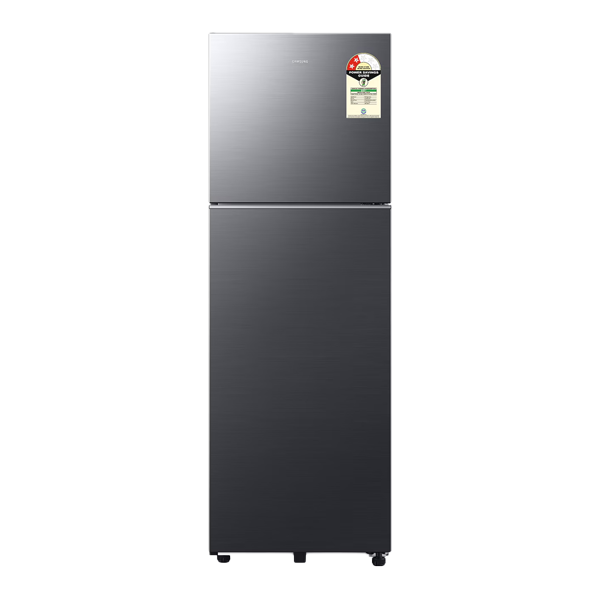 Samsung 256 L, 2 Star, Digital Inverter Frost Free Double Door Refrigerator (RT40H30W2K)