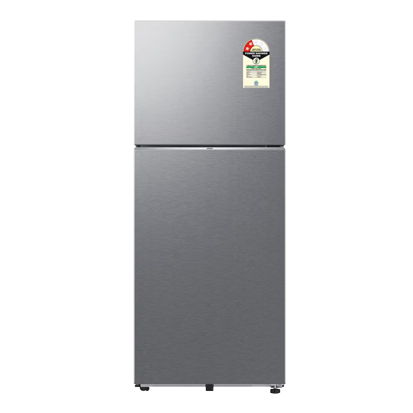 Samsung Double Door Refrigerator with Bespoke AI 419 L (RT45HG6A22SL)