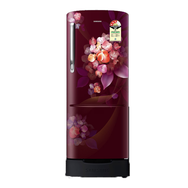 Samsung  223 L 3 Star Single Door Refrigerator (RR24H2823HT)